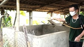 Yên Bái chủ động kiểm soát bệnh dịch tả lợn Châu Phi