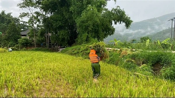 Lào Cai: Công an xã giúp dân khắc phục hậu quả mưa lớn