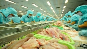 Mỹ miễn thuế chống bán phá giá cho 7 doanh nghiệp cá tra Việt Nam