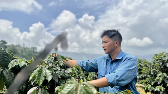 Chuyện về đoàn viên vượt khó, làm kinh tế từ cà phê trên núi đồi Tây Bắc