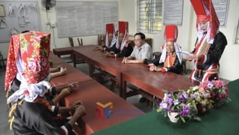 Hiệu quả từ triển khai thực hiện Dự án 8