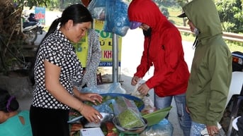 Mù Cang Chải phát triển vùng nếp Tan hàng hóa
