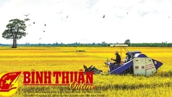 50 năm “trị hạn” của Bình Thuận: Sự trù phú không chỉ ven sông La Ngà