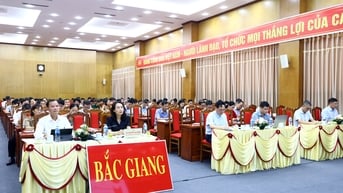 Tiếp tục thực hiện toàn diện, hiệu quả nhiệm vụ kiểm tra, giám sát, kỷ luật của Đảng