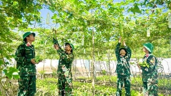 Lữ đoàn Công binh 293: Đẩy mạnh phong trào tăng gia sản xuất