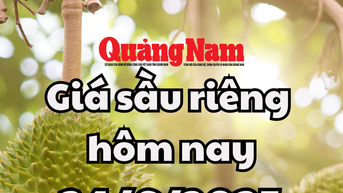 Giá sầu riêng hôm nay 24/6: Musang King giữ đỉnh 125.000 đồng/kg, sầu Thái hồi phục lại