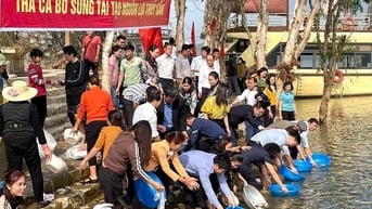 Đánh thức “mỏ vàng xanh” hồ Thác