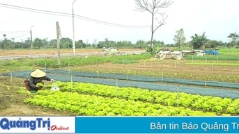 Cần “tiếp sức” cho các tổ hợp tác phát triển