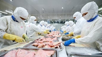 Cá tra Việt Nam nhận tin vui lớn từ Mỹ