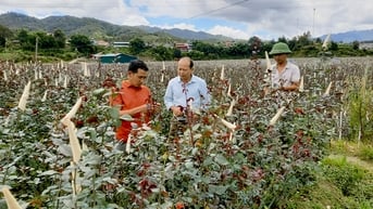 Khơi dòng phát triển, thước đo bản lĩnh và trí tuệ của Đảng bộ Yên Bái