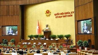Ngày 24/6, Quốc hội thảo luận dự án Luật Tương trợ tư pháp về hình sự