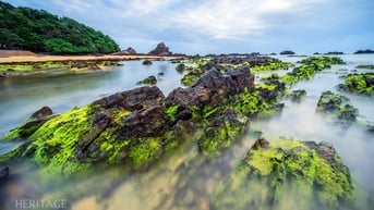 Khám phá cung đường biển đẹp nhất Bình Định