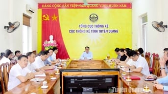 Triển khai định hướng Bộ chỉ tiêu kinh tế - xã hội phục vụ xây dựng văn kiện đại hội đại biểu đảng bộ cấp tỉnh, cấp xã nhiệm kỳ 2025-2030