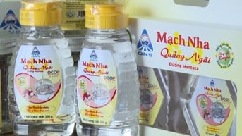 Quảng Ngãi có 02 sản phẩm đạt OCOP 5 sao