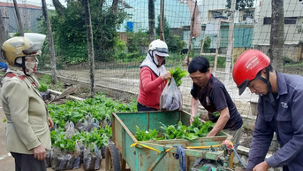 TP. Pleiku hỗ trợ 60.210 cây cà phê giống cho nông dân tái canh năm 2025