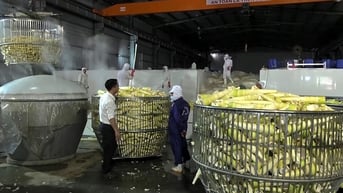 Khi nhà nông “bắt tay” nhà doanh nghiệp