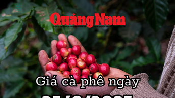 Tin tức, dự báo giá cà phê ngày mai 26/6/2025 bị dồn vào thế khó lấy lại đỉnh giá