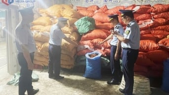 Phát hiện, bắt giữ, xử phạt 322 cơ sở, tổ chức, cá nhân vi phạm trong sản xuất, chế biến, kinh doanh thực phẩm