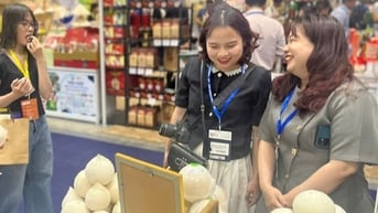 Vì sao Việt Nam chi hàng trăm tỉ đồng nhập khẩu dừa?