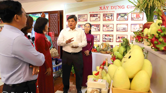 Xây dựng chuỗi, tăng lợi thế cạnh tranh cho sản phẩm OCOP