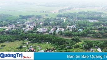 Đầu tư 379 tỉ đồng xây nhà máy sản xuất viên nén chất đốt xuất khẩu