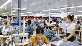 Toàn tỉnh giải quyết việc làm cho trên 11.000 lao động