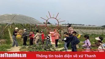 Những bài học không có trong sách vở