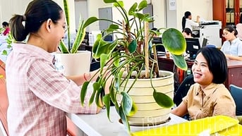Kho bạc Nhà nước khu vực XIII: Đảm bảo ngân sách cho hoạt động chính quyền địa phương 2 cấp