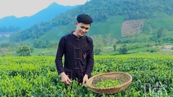 Cách thu hút du khách của những nông dân thế hệ mới