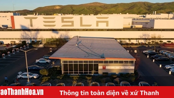 Doanh số Tesla tại châu Âu giảm dù thị trường xe điện phục hồi