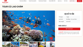 Đại Việt Tourist - Công ty tổ chức tour Cù Lao Chàm từ Đà Nẵng uy tín