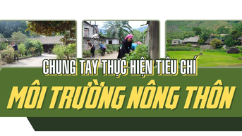 Chung tay thực hiện tiêu chí môi trường nông thôn