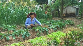 Ðổi mới để sản xuất hiệu quả