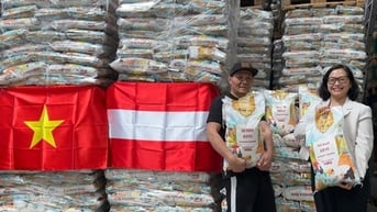 Gạo Việt Nam xuất khẩu sang Áo: Cơ hội, thách thức và triển vọng mới