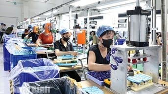Đẩy mạnh ứng dụng khoa học công nghệ trong sản xuất, kinh doanh