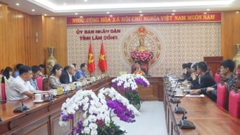 Nhiều chương trình hoạt động chào mừng thành lập tỉnh Lâm Đồng mới