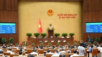 Các hành vi bị nghiêm cấm trong hoạt động thanh tra
