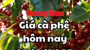 Giá cà phê bất ngờ "rơi tự do" bởi tin tức về tình hình sương giá tại Brazil không còn là mối lo