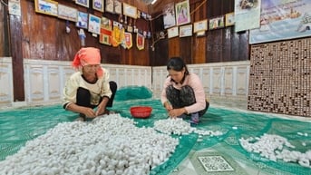 Nuôi tằm, hướng đi thoát nghèo bền vững