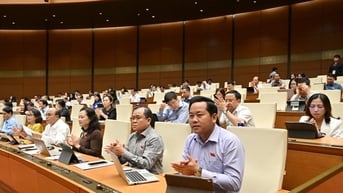 Thành phố Hà Nội được hưởng 100% khoản thu tiền sử dụng đất, cho thuê đất