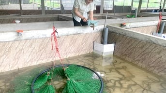 Agribank đầu tư phát triển nông nghiệp sạch, nông nghiệp công nghệ cao