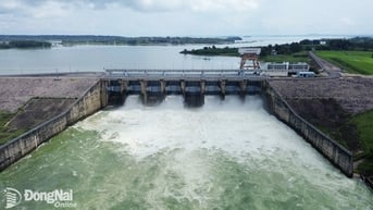 Dự án Nhà máy Thủy điện Trị An mở rộng đã thu hồi 73% diện tích đất