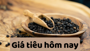 Giá tiêu hôm nay 26/6/2025: Bất ngờ tăng giá