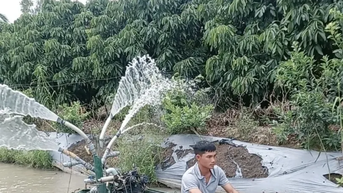 Năng động hỗ trợ thanh niên làm kinh tế