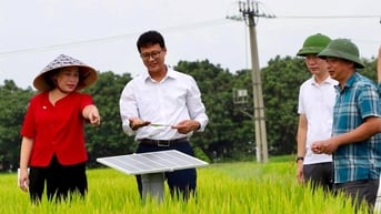 Tưới lúa kiểu mới: Nhiều giá trị, dễ nhân rộng