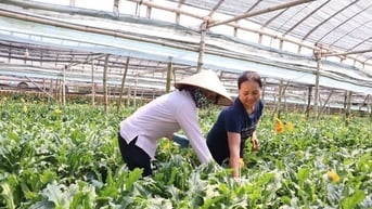 Tổng điều tra nông thôn, nông nghiệp năm 2025 trên địa bàn Hà Nội từ ngày 1-7