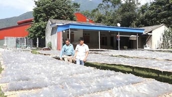 Nhiều giải pháp giảm nghèo ở Bình Lư