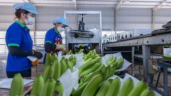 Điều chỉnh kịp thời các hoạt động quản lý, điều hành kinh tế - xã hội