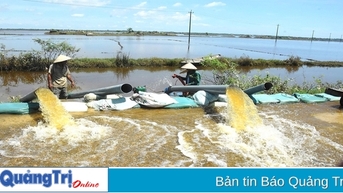 Trắng đêm tiêu úng gieo “vụ mới”