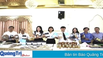 Tổng kết dự án Plan năm tài chính 2025 và định hướng hoạt động dự án năm tài chính 2026